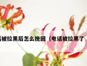 怎样挽回因吵架拉黑分手的男友（掌握有效方法）