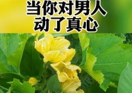 分手后如何挽回男友，让他离不开你（打造出彼此都想要的幸福）