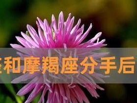 如何挽回金牛座的男人？挽回金牛座男人的正确方法是什么？