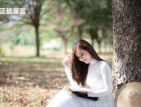 背后的支持者，你知道谁是吗（探究一下）