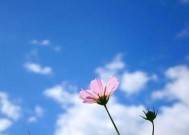 分手后哪些行为会严重阻碍复合？如何避免这些行为？