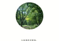 可得性启发是什么？如何影响我们的决策过程？