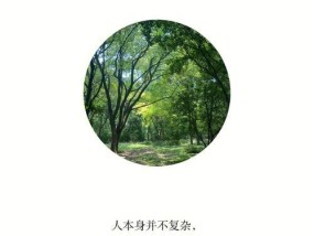 可得性启发是什么？如何影响我们的决策过程？