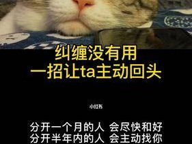 闹矛盾后如何问原因挽回对象？有效沟通的策略是什么？