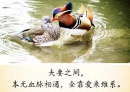 成为好妻子的几招（如何让你的婚姻更加美满和幸福）