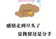 分手后是否还有挽留的余地（从挽留前和挽留后两个角度探讨如何重新挽回爱情）