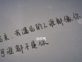 守护男友的失恋日记（以温暖和耐心）