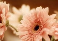 已婚男人如何平衡爱情中的克制与放肆？