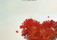 如何测试你是否错过了极品好男生（揭秘男人的内心世界）