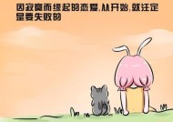从外表到内在，揭秘你心中的理想男友（从外表到内在，揭秘你心中的理想男友）