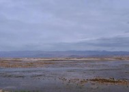 爱情之路的坎坷与平坦（探究情感测试中的爱情之路）