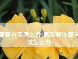 男朋友不愿意分手还打我怎么办？如何处理暴力关系？