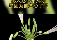 男人变心了，该如何挽回（从分手到复合的四步骤）