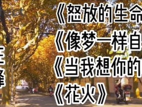 当我想你的时候就是最想你的时候（思念情深）