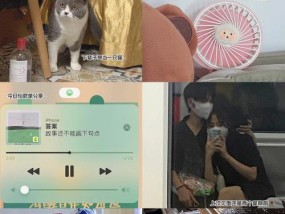 恋爱进阶（从内心到外表）