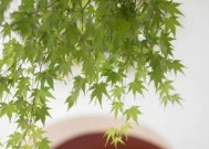 如何扭转违背底线而破坏家庭的局面？有效沟通和家庭治疗有哪些方法？