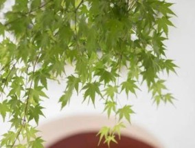 如何扭转违背底线而破坏家庭的局面？有效沟通和家庭治疗有哪些方法？