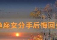 挽回失去的爱情，重返双鱼女心（如何用真心、耐心和技巧挽回双鱼女朋友）