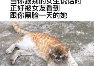 当朋友看不起你时，该怎么办（坚定自信）