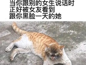 当朋友看不起你时，该怎么办（坚定自信）