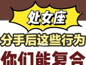 挽回处女座女友的心（如何让她重新爱上你）
