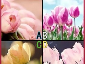 面对告白，我该如何应对（15个有效应对技巧）