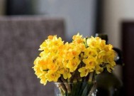 星座排行榜（探秘星座特质）