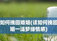把老公打伤了该如何挽回？挽回婚姻的正确方法是什么？