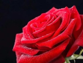 如何测试你对婚姻的信任度有多高？婚姻信任度测试的常见问题解答