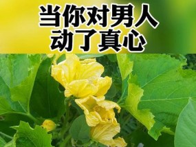 分手后的人可以挽回吗？如何有效修复破裂的感情？