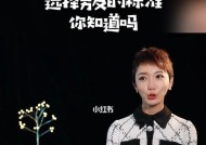 如何成为好男友（从谈恋爱到婚姻生活）