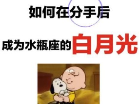 如何挽回水瓶男（水瓶男的特点和挽回策略）