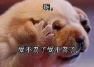 情侣吵架真的能增进感情吗？小吵怡情还是大吵伤情？