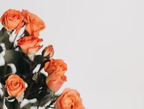 如何挽回双鱼座的婚姻？挽回双鱼座婚姻的正确方法是什么？