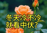 7月30日中伏，“冬天冷不冷，就看中伏”，今年冬天要冷到哭？