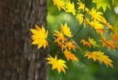湖北！新一轮大雨暴雨已来到，具体分布如下！21号～23号天气预报