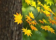 湖北！新一轮大雨暴雨已来到，具体分布如下！21号～23号天气预报
