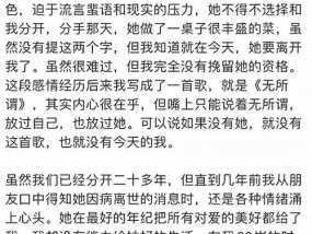 心酸的告别信（我爱你）