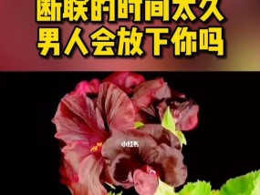 分手后如何挽回对方（重拾爱情）