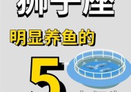 夏天养金鱼需要注意什么？如何确保金鱼健康度夏？