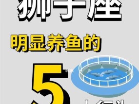 夏天养金鱼需要注意什么？如何确保金鱼健康度夏？