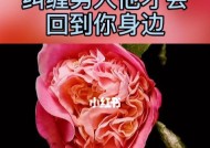 离婚后如何用短信挽回前任？有效短信挽回策略有哪些？