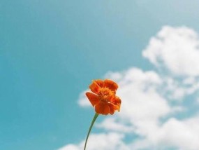 心灵鸡汤阅读体验背后的思考是什么？