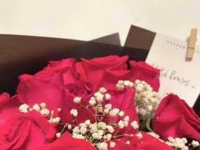 道歉时应该选择哪些鲜花表达歉意？