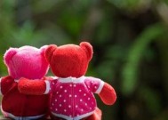 如何用真挚的心感动男友（以挽回男友为例）