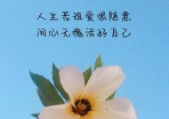 人生如风，计划难定（以变应变）