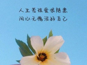 人生如风，计划难定（以变应变）