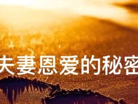 夫妻相处的艺术（婚姻生活经营指南）