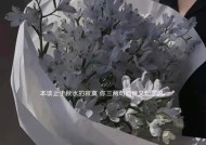 如何使用挽回感情的绝招文案短句把爱情拯救回来？