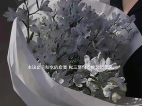 如何使用挽回感情的绝招文案短句把爱情拯救回来？